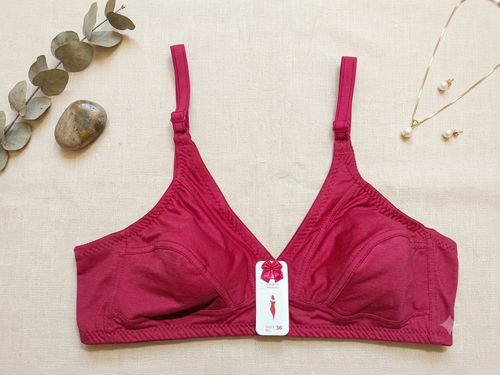 Cotton (Lycra Hosiery) Everyday Bra- Pack of 4 for 1299/-